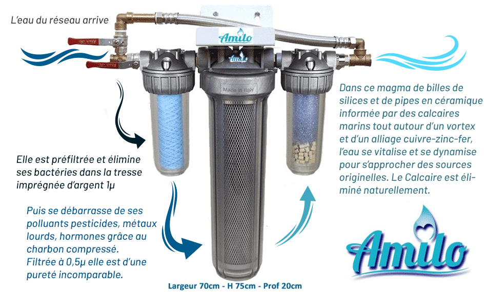 Filtre purificateur et vitaliseur d'eau Habitation Amilo - Système
